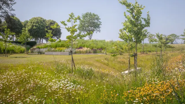 Jardin De La Paix Polonais Le Jardin Des Bleuets Aleksandra Gierko©A&JHDF Yann Monel