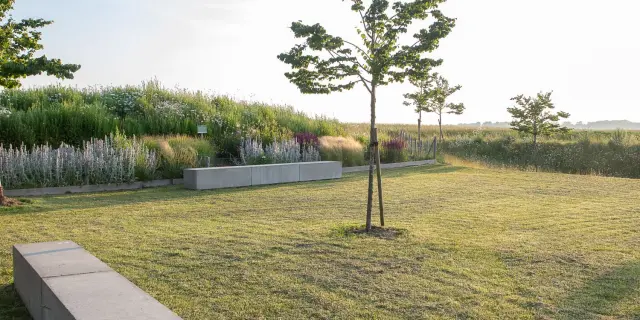 Jardin De La Paix Polonais Le Jardin Des Bleuets Aleksandra Gierko©A&JHDF Yann Monel