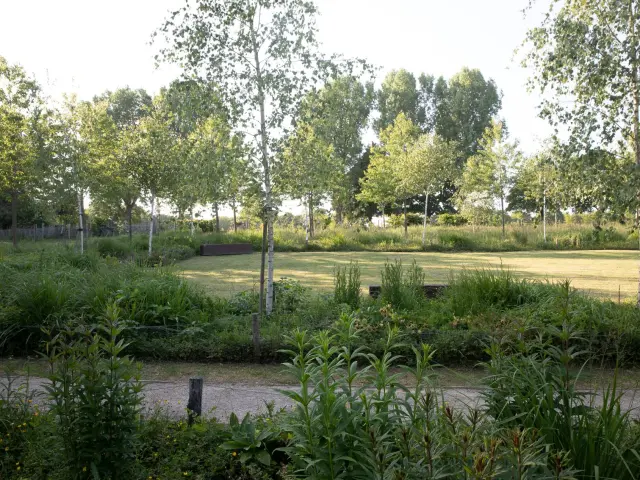 Jardin De La Paix Tcheque Et Slovaque La Marche De La Paix Lenka Drevjana Zuzana Nemeckova Miroslava Stanekova ©A&JHDF Yann Monel