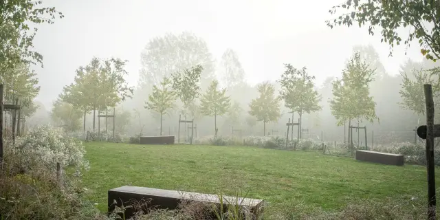 Jardin De La Paix Tcheque Et Slovaque La Marche De La Paix Lenka Drevjana Zuzana Nemeckova Miroslava Stanekova ©A&JHDF Yann Monel