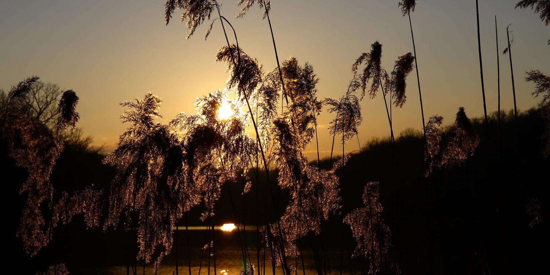 Sunset On The Lakes Of La Folie March 2022 ©j Pierre Fournier