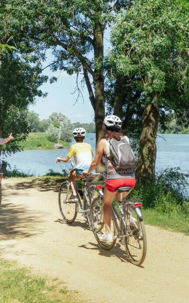 Vélo En Famille©freepik