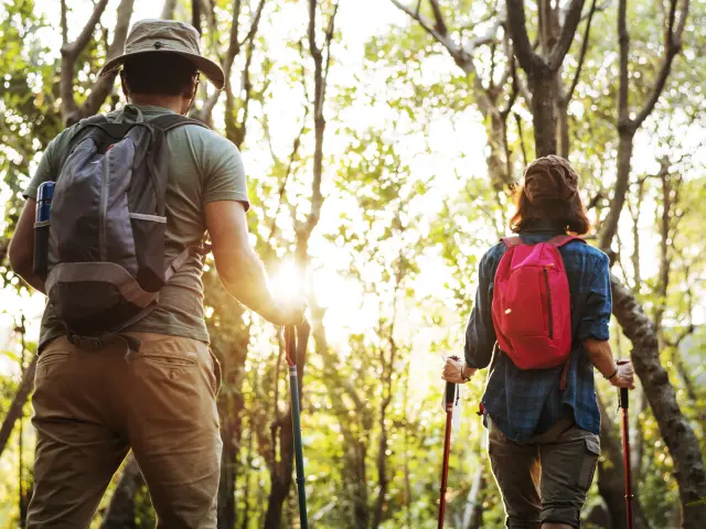Couple de randonneurs en forêt