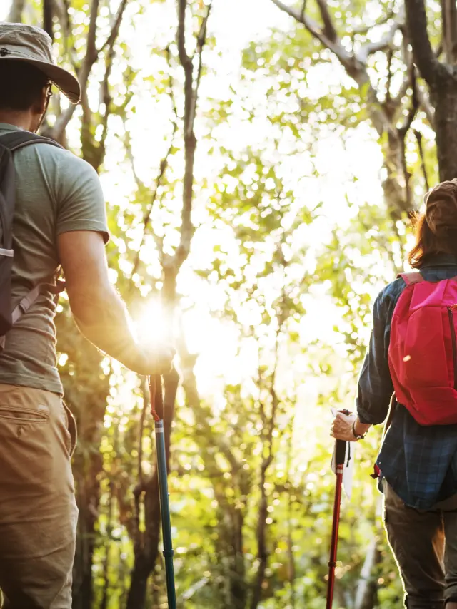 Couple de randonneurs en forêt