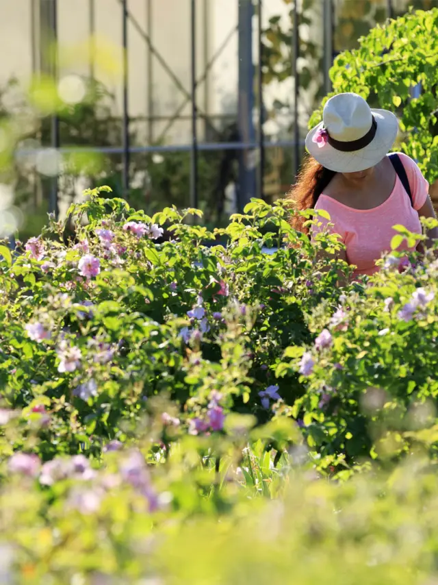 Cover Festival Des Jardins