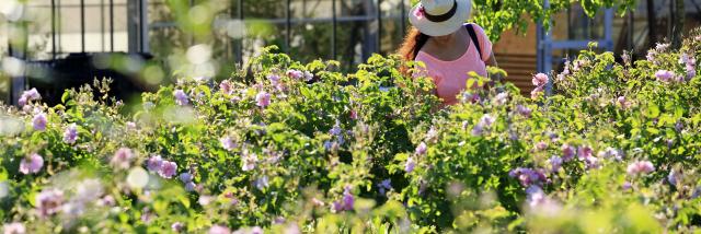 Cover Festival Des Jardins