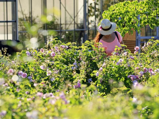 Cover Festival Des Jardins