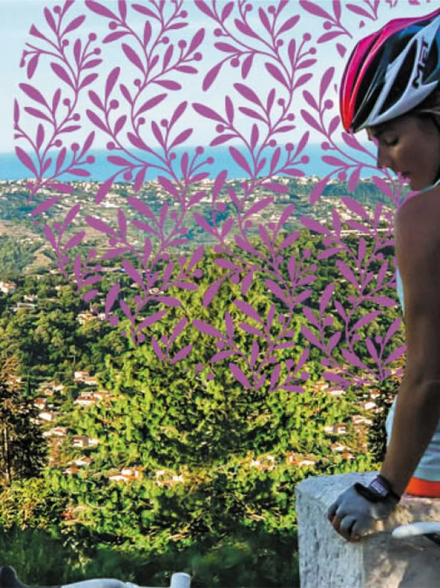 Pano Fabre Vtt