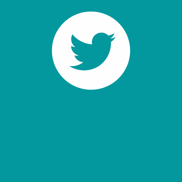 Twitter-Vignette