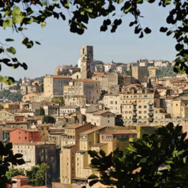 Visit the Musée International de la Parfumerie in Grasse