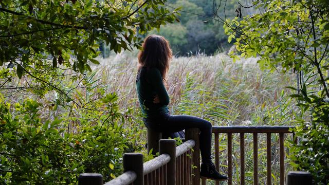 Explorateurs des Parcs