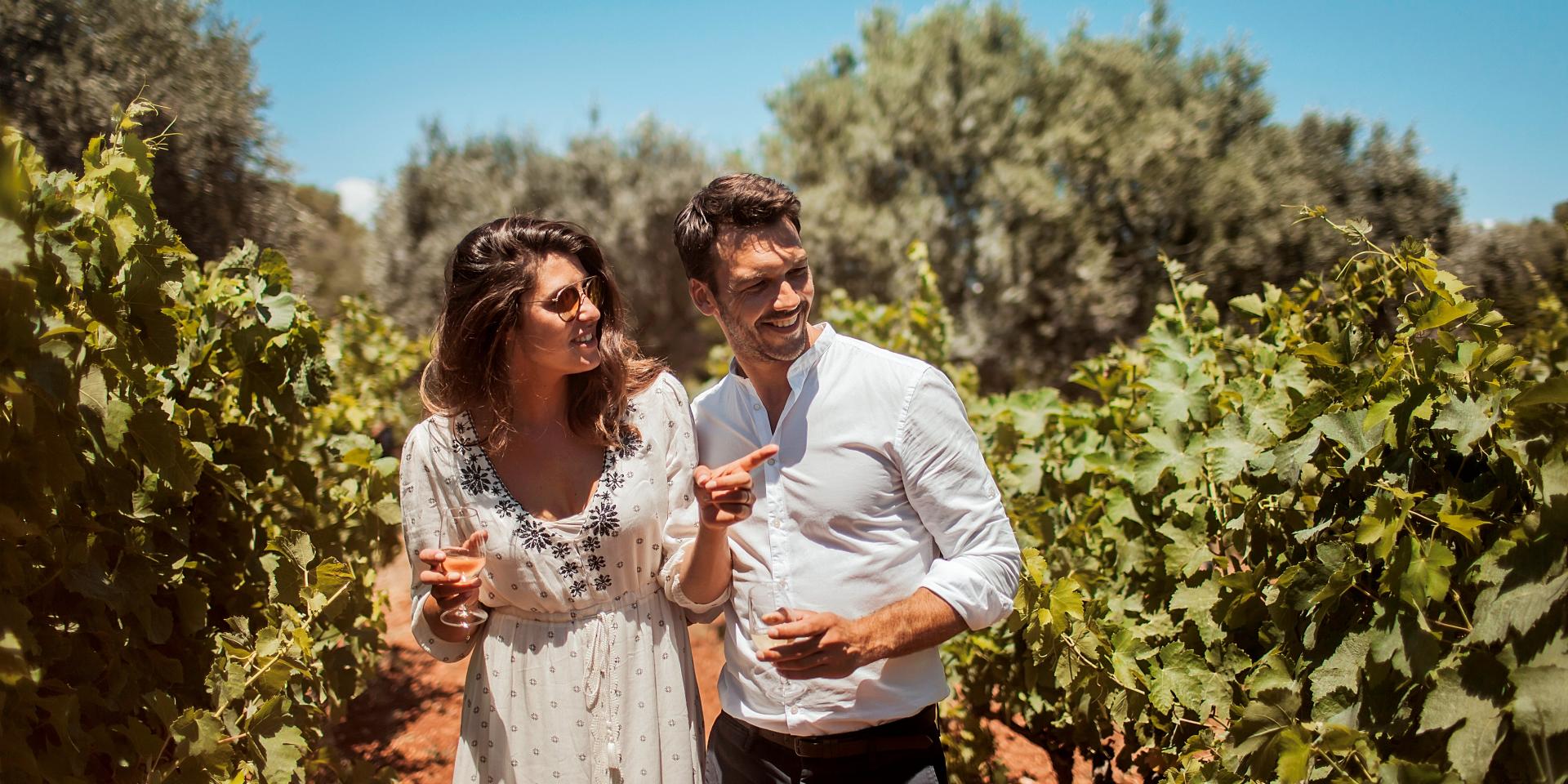 Vin et vignes