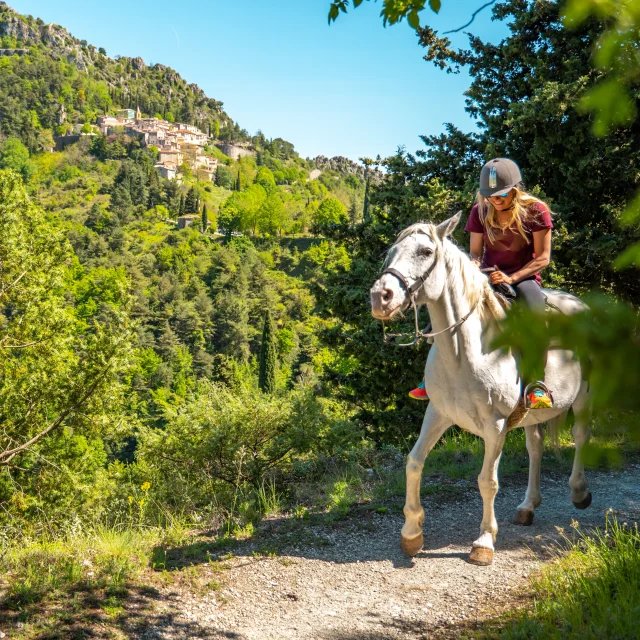 Micro-aventure à cheval