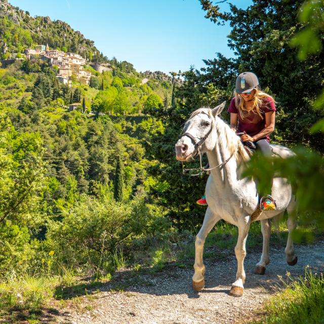 Micro-aventure à cheval