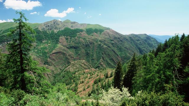 Le gole del Cians