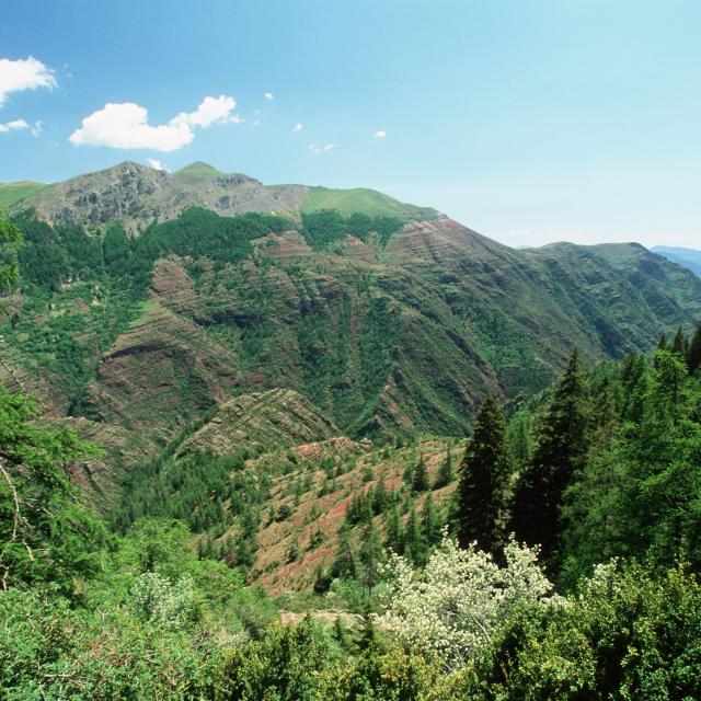 Les gorges du Cians