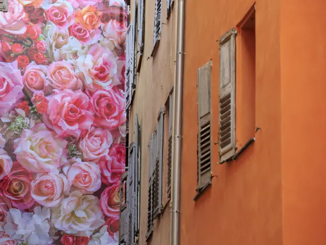 Exporose Grasse Ferien Frühling