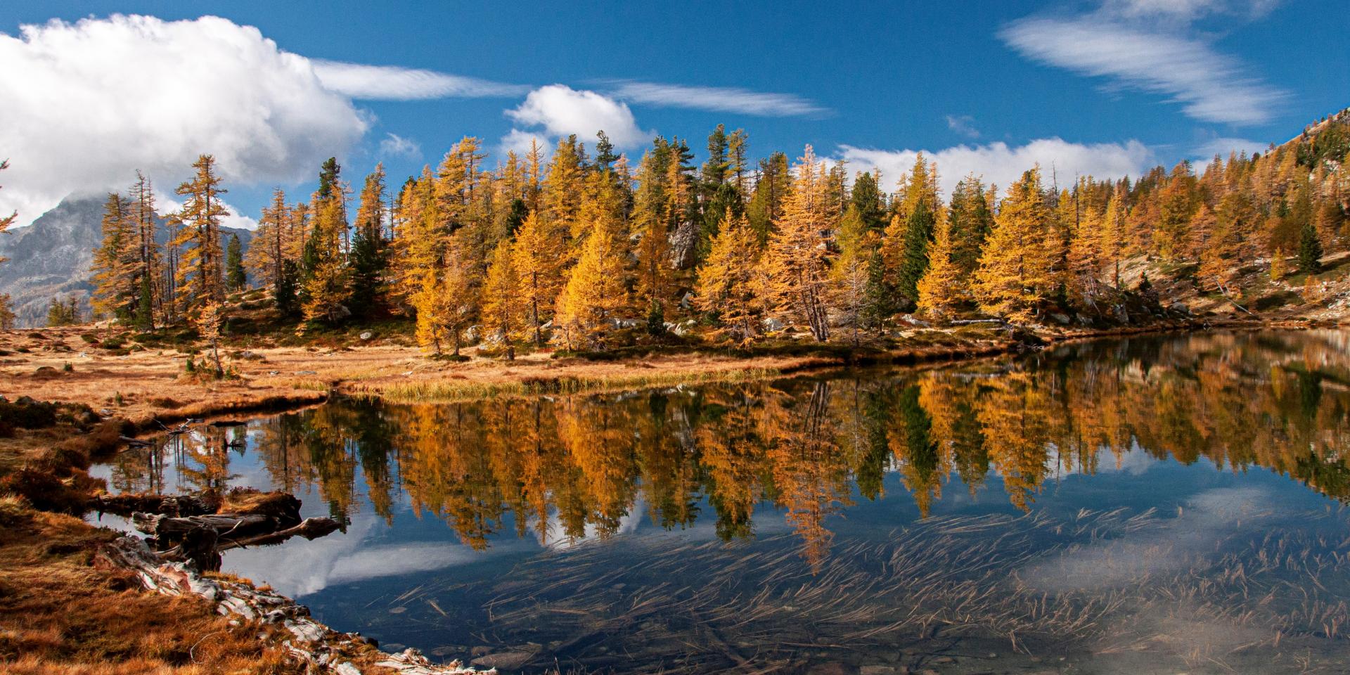 Lac Graveirettes en automne