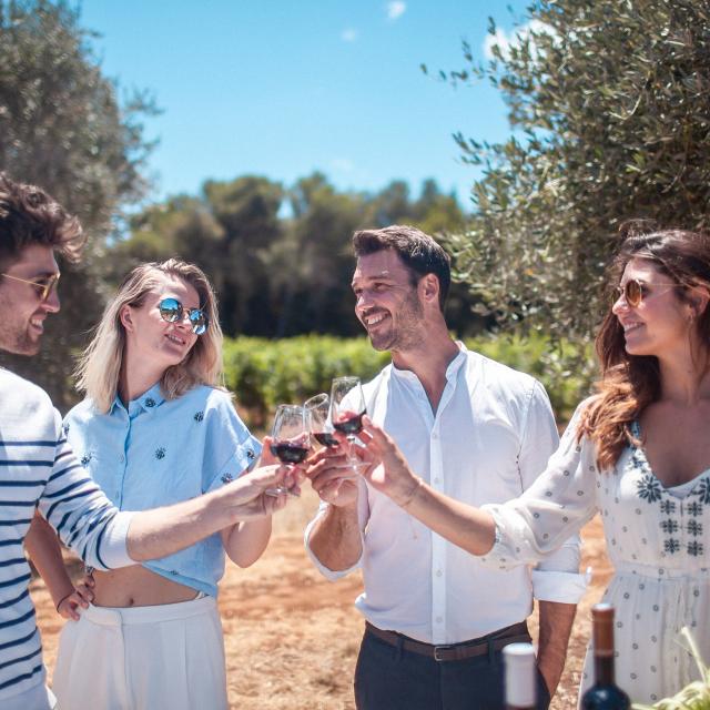 Route des saveurs : vin