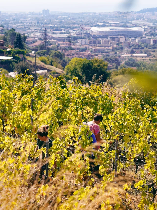 Domaine De La Source St Roman De Bellet Crt Cote D Azur Frankreich Yannsavalle5 1