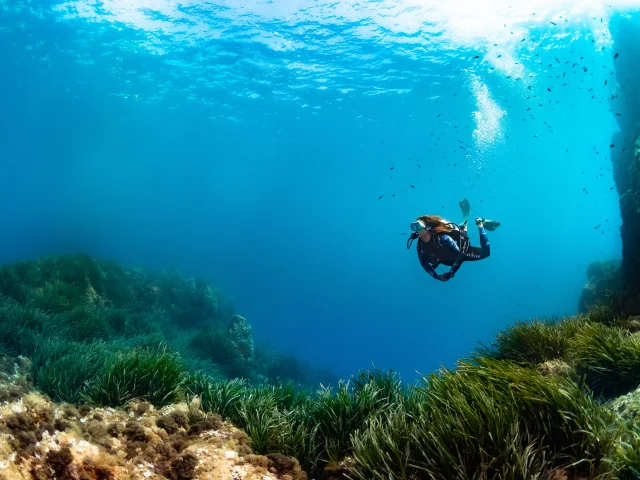 Plongee Sous Marine Crt Cote D Azur France Greglecoeur5