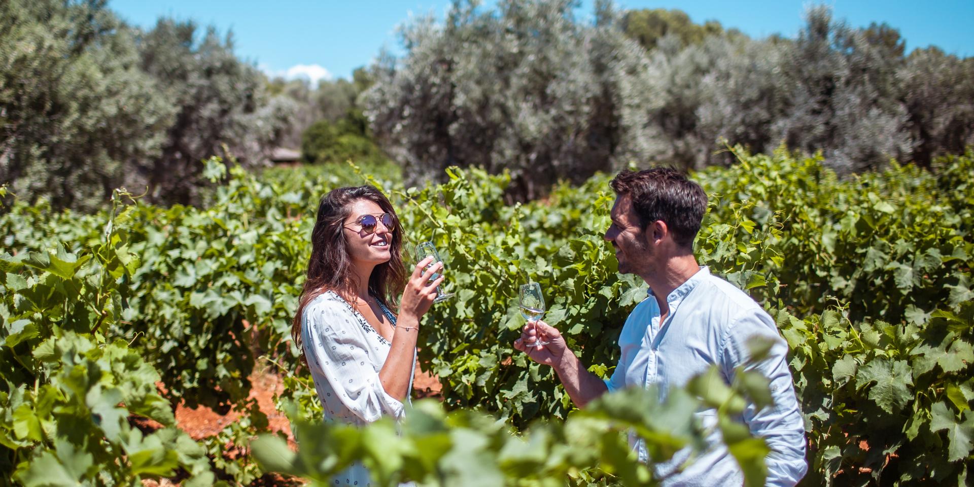 Route des saveurs : vin