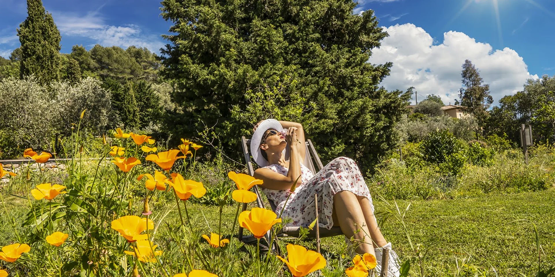 Jardin Du Mip Pays De Grasse Tourismus6