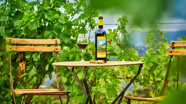 Domaine de la Source