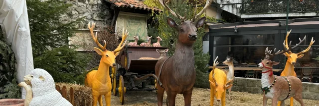 Natale nel Pays Des Paillons