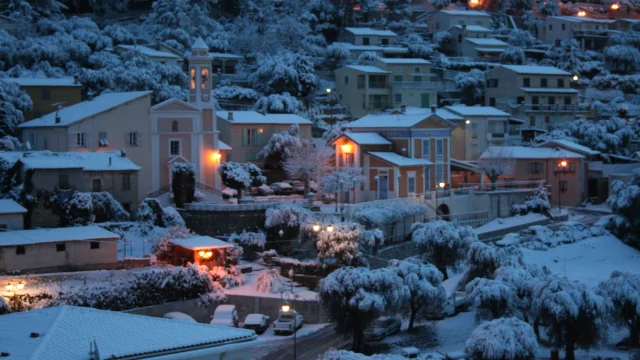 Febbraio 2010 115