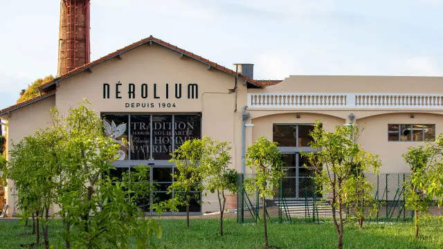 Nerolium