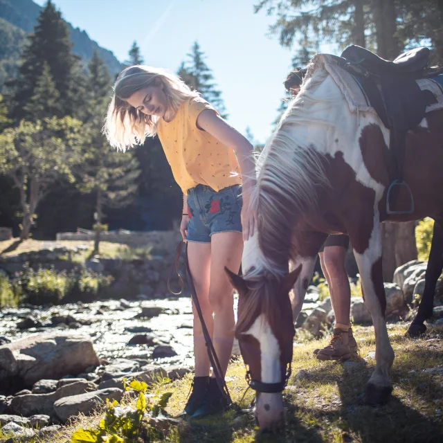 Balade à cheval en montagne : immersion nature sur la Côte d’Azur
