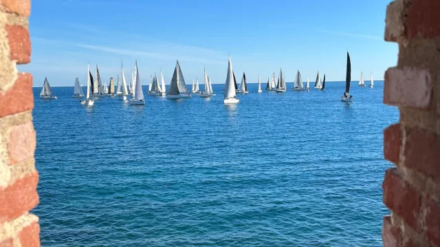 Antibes Cadregonnie Schereck