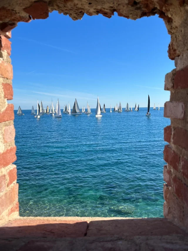 Antibes Cadregonnie Schereck