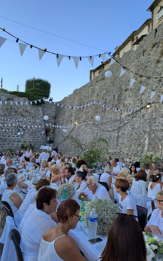 White picnic for Apidae Agenda Rotated