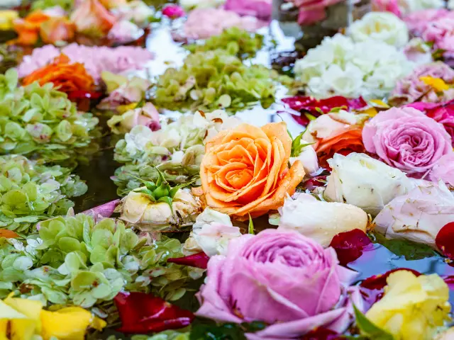 15ème #DigitalAfterWork spécial #ExpoRose, à la Villa-Musée Fragonard, à Grasse sur la Côte d'Azur