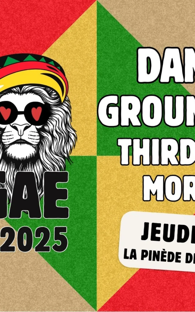 Big Reggae 28