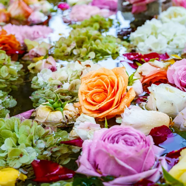 15ème #DigitalAfterWork spécial #ExpoRose, à la Villa-Musée Fragonard, à Grasse sur la Côte d'Azur