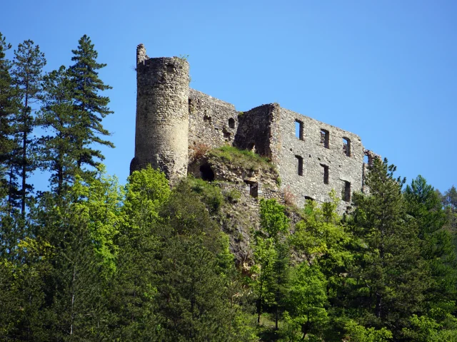 Château de la Reine Jeanne, perché sur son éperon rocheux et entouré de pins et de végétation, à Guillaumes dans les Alpes-Maritimes. Cette forteresse médiévale en ruine offre un panorama spectaculaire sur la vallée et témoigne de l’histoire du haut-pays niçois.