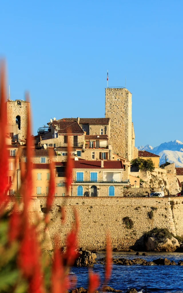Antibes Mer Montagnes Enneigees
