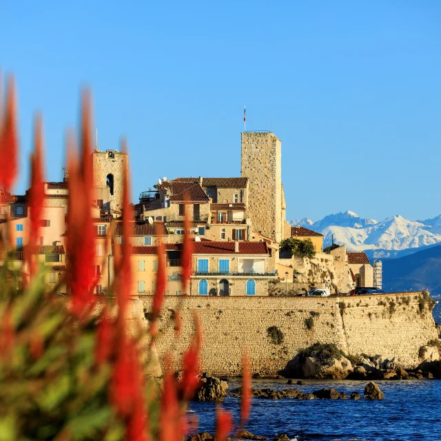 Antibes Mer Montagnes Enneigees