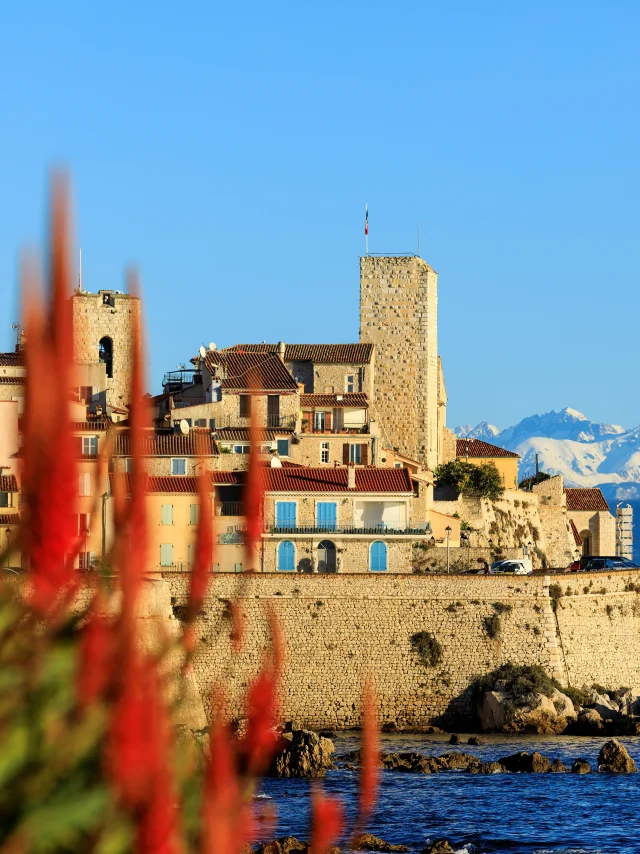 Antibes Mer Montagnes Enneigees
