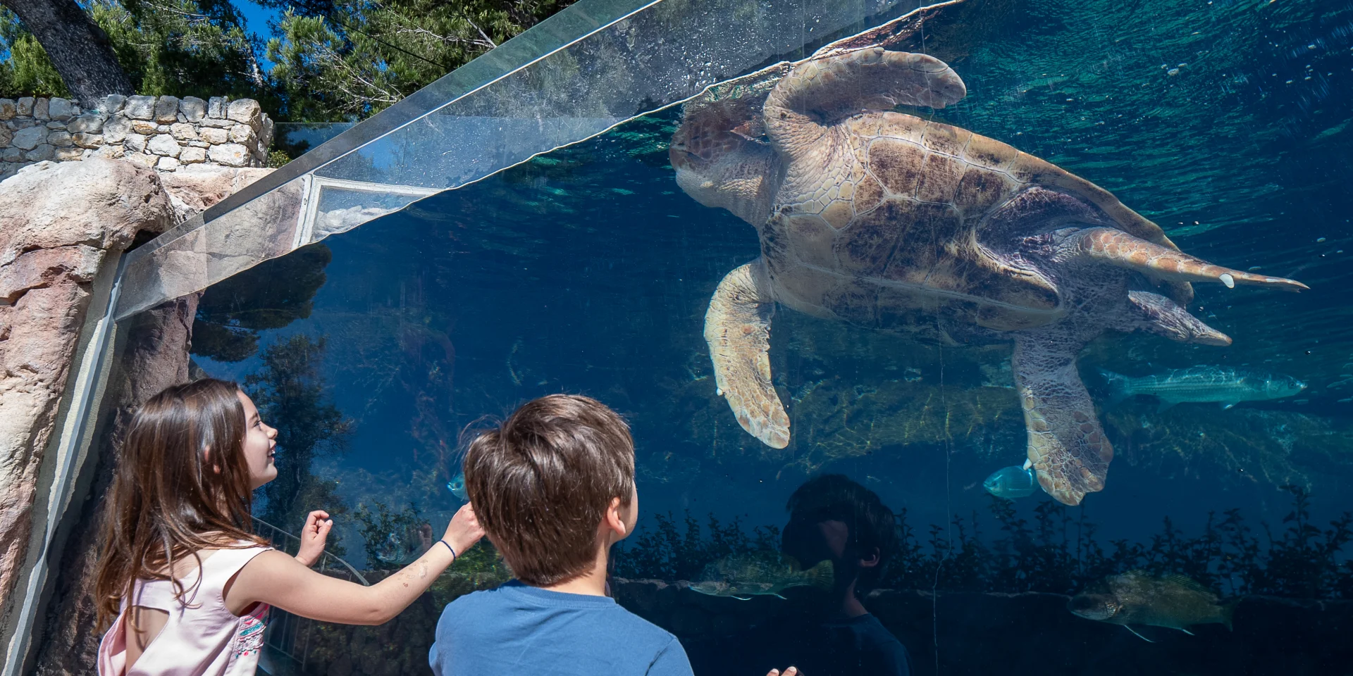 Family Musee Oceanographique De Monaco Cote D'Azur France Tourisme Olivier Puydebois