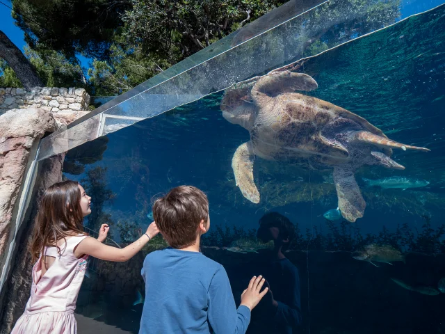 Family Musee Oceanographique De Monaco Cote D'Azur France Tourisme Olivier Puydebois