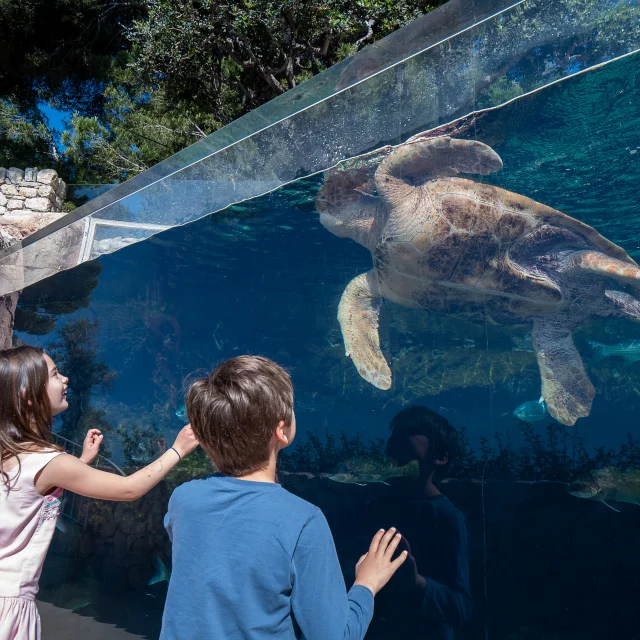 Familie Musee Oceanographique De Monaco Cote D'Azur Frankreich Tourismus Olivier Puydebois