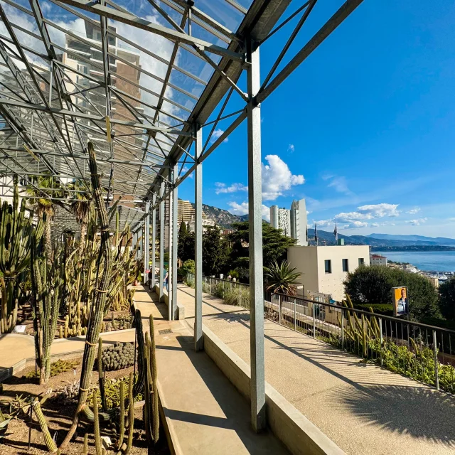 Jardin Exotique Monaco Cote D Azur France Tourisme Ambre Fraticelli