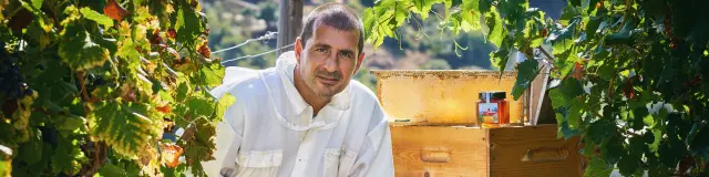 54792355483 29c533dd9b O