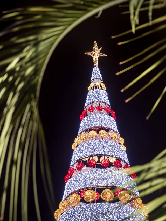 Cannes Christmas Lights 2020 073