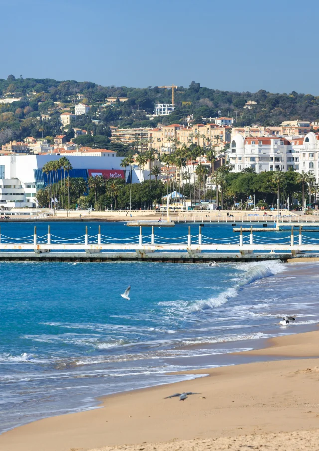 Croisettecannes è tua Foto Herve Fabre 22