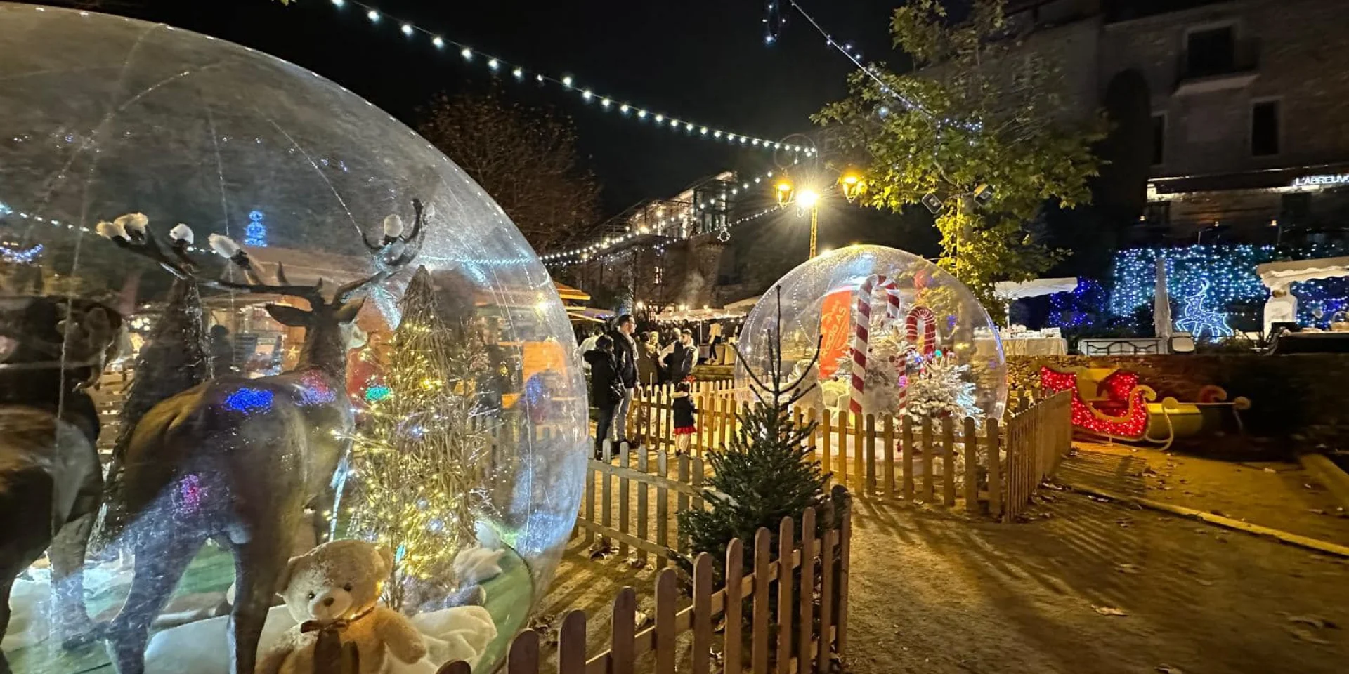 Noel A Mougins Cover Header